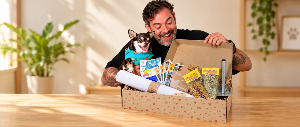 Tutora em casa com o cão e o rolo CindPaper